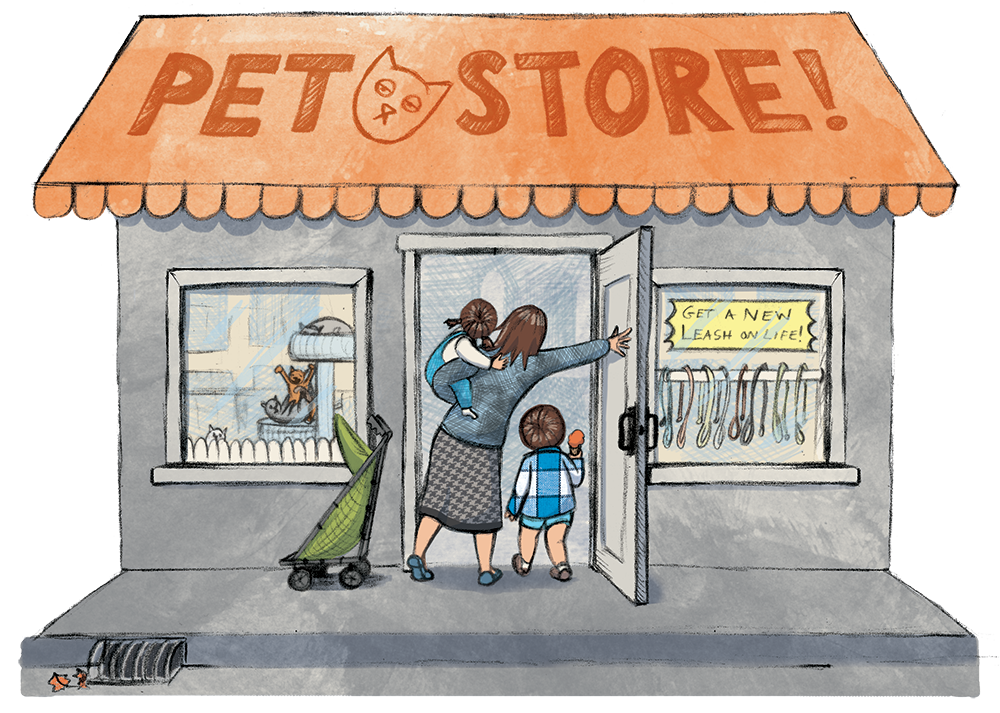 Pet Store, illustration by Jaime Temairik